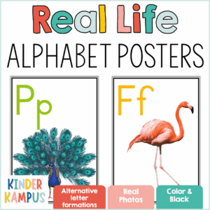 Alphabet Posters with Real Photos | Classroom Decor